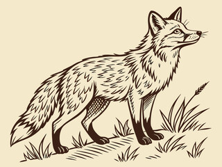 Animated red fox character stands alert in grassy meadow. A cheerful, cartoon-style red fox character stands alert on a grassy knoll, looking to the side.