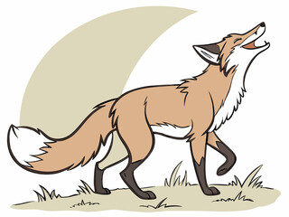 Animated red fox character stands alert in grassy meadow. A cheerful, cartoon-style red fox character stands alert on a grassy knoll, looking to the side.