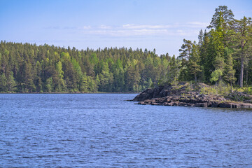 Landscape with a lake