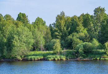 Fototapeta premium Landscape with a lake