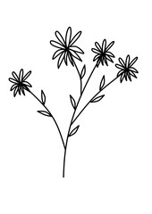set of flowers