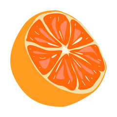 Sliced orange showing juicy fruit segments