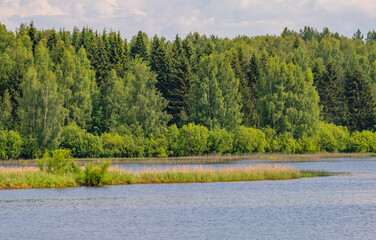 landscape with river