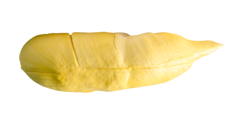 Yellow pulp of ripe durian fruit without peel isolated with clipping path in png file format