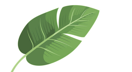 Obraz premium Vibrant green banana leaf illustration isolated on a white background. Botanical vector art for tropical design.