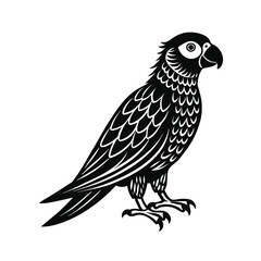 Fototapeta premium Parrot Colorful Bird Vector Silhouette On White Background