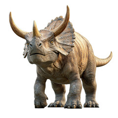 Fototapeta premium 3D Render of a Triceratops Dinosaur