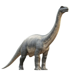 Fototapeta premium Sauropod Dinosaur Illustration