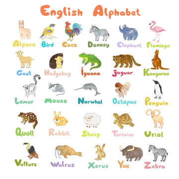 English Animal Alphabet for Kids. Cartoon Letters and Funny Animal Drawings