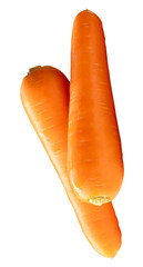 Side view of two fresh orange carrot roots in stack isolated with clipping path in png file format