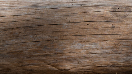 Old pine tree trunk with natural color texture background