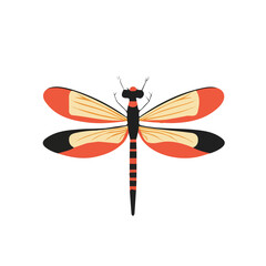 Minimalistic 2D flat icon featuring dragonfly, clean vector design, simple illustration style, isolated on a white background, modern element in vector and EPS format.