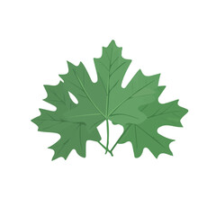Minimalistic 2D flat icon featuring green maple leaves, clean vector design, simple illustration style, isolated on a white background, modern element in vector and EPS format.