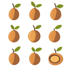Geometric-style flat vector illustration of sapodilla fruit set collection, abstract 2D modern design with clean, smooth shapes, isolated on a white background
