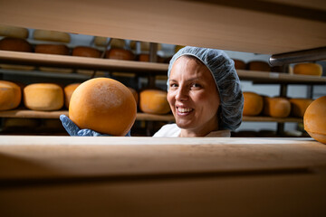 Portrait of female cheese maker holding cheese wheels. In background shelves full with dairy products.