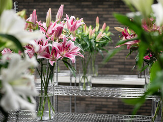 Detailed view of high-quality pink and purple lily flowers in glass vases arranged for commercial display