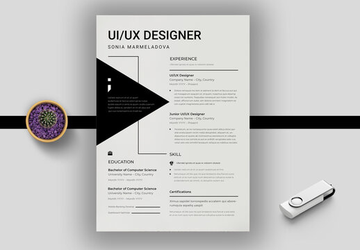 Creative UI UX Designer Resume