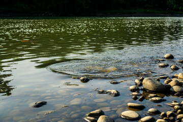 Rippling Water and Smooth Stones by the Riverbank