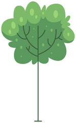 green tree isolated on white background