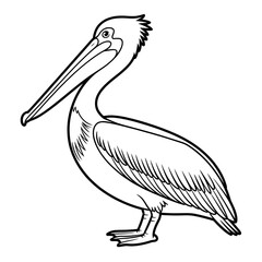 A black and white pelican illustration line art of a coloring page 