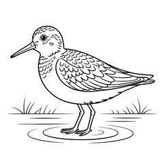 A black and white sandpiper bird illustration line art of a coloring page 