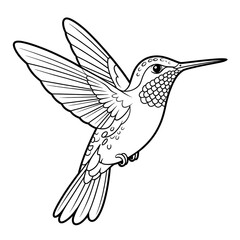A black and white hummingbird illustration line art of a coloring page 