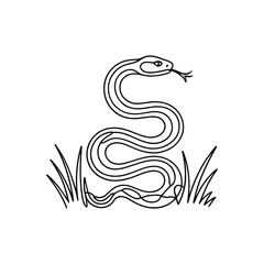 Fototapeta premium A coiled serpent with a forked tongue emerges from grass snake reptile