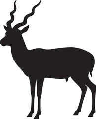 Blackbuck deer in silhouette white background.
