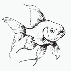 vector illustration of a goldfish