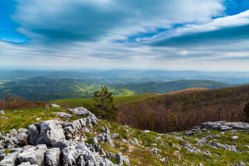 Dramatic scenery with clouds and lush green flora in the Carpathians Mountains in spring