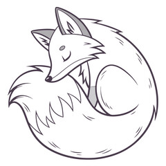Sleeping fox curled up in a ball isolated on white background, a cute and cuddly animal illustration
