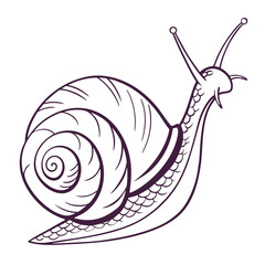 Snail line art isolated on white background, perfect for nature and wildlife related themes