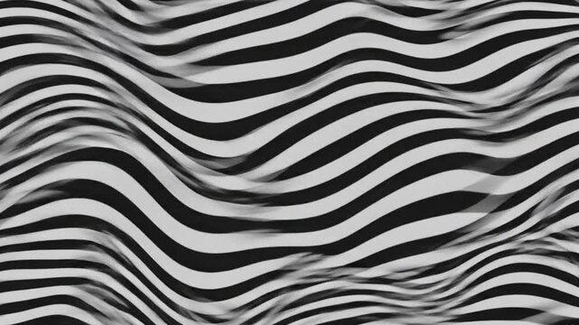 Wavy black and white stripes form a dynamic textured pattern