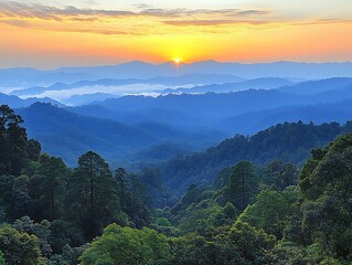 Fototapeta premium The sunrise illuminates the mountains and the forest below the sky