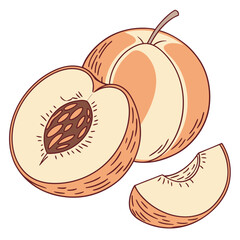 Whole and sliced peaches with pit fruit food