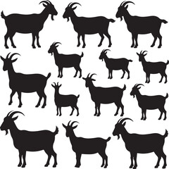 Collection of black silhouette goat animals standing on white background farm livestock