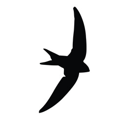 Soaring through the boundless sky, a tiny speck against the vast expanse