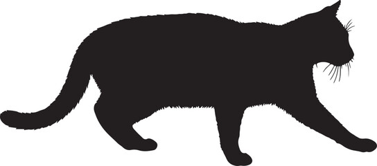  Toyger cat walking full image in silhouette image white background.