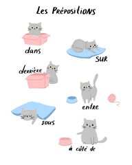 French prepositions poster with a cute grey cat showing positions: in, on, behind, under, between, next to. Fun educational kids illustration