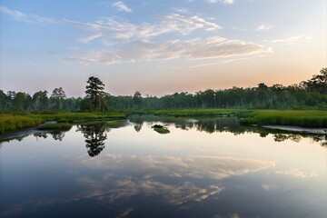 Dawn over the freshwater wetlands