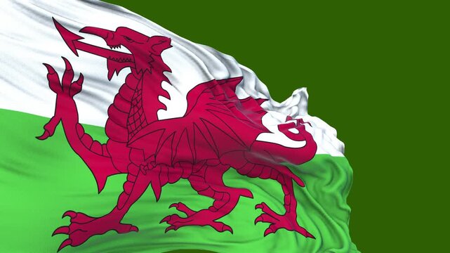 flag of Wales. close up of the welsh flag. welsh flag endless loop. green screen