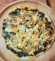 Delicious fresh baked Italian pizza with ham and mozzarella cheese on a plate, isolated on a white background