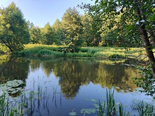 Nature, village, harvest, agriculture, sunset, sunrise, sky, landscape, flora, plants, road, summer, summer vacation, weekend, river, nature