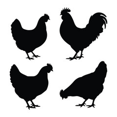 Black silhouettes of chickens and a rooster fowl poultry