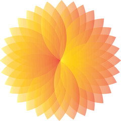 abstract orange flower
