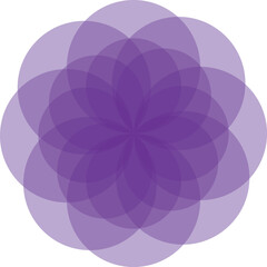 vector illustration of a purple flower