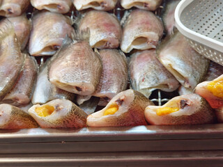 several raw, whole gourami fish arranged neatly on a metal tray. The fish are gutted, with some containing visible yellow roe inside their open mouths.