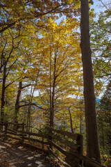 Beautiful Autumn scenery along Spencer Gorge hiking trail in Hamilton, Ontario, Canada