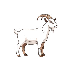 goat isolated on white background