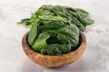 Raw green baby spinach plant